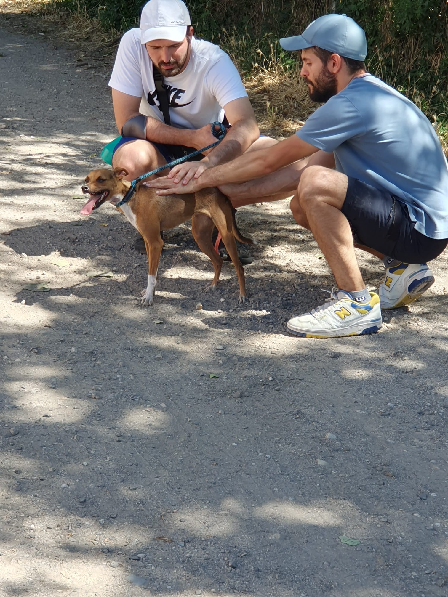 Persona usuaria de Pauta, con su profesional de apoyo. Relacionándose con un perro de la Protectora.