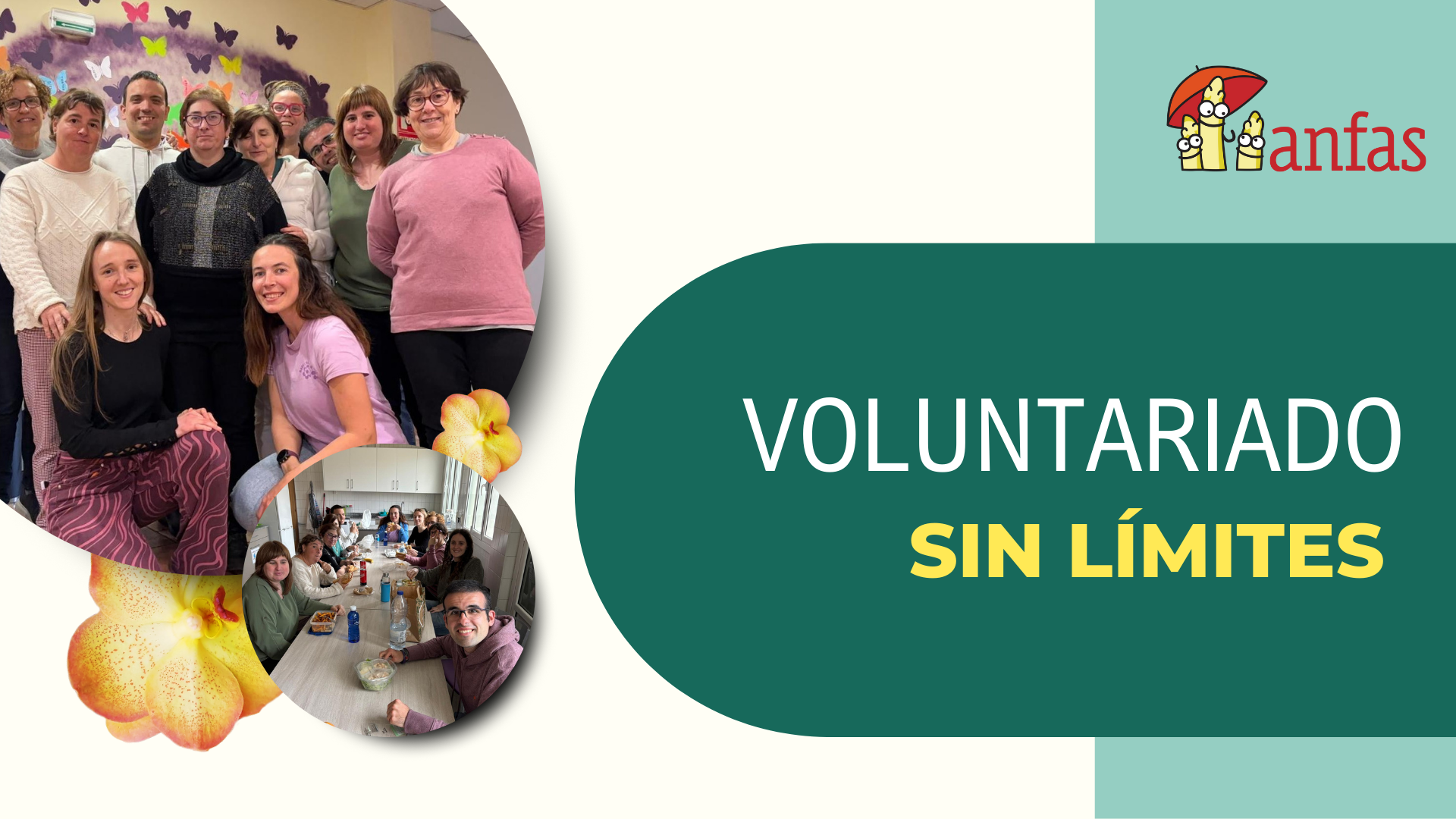 Voluntariado del albergue de ANFAS