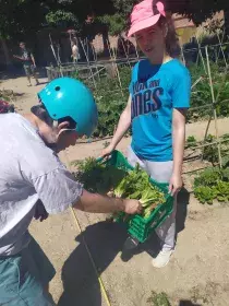 Colaboramos, cooperamos, coeducamos y contribuimos con un proyecto medio ambiental a una ciudad más sostenible. 