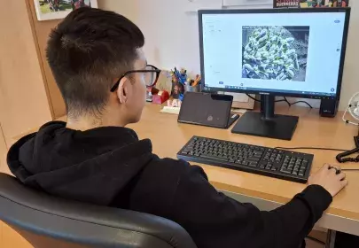 Persona realizando una tarea de taggeado de datos con una herramienta de IA