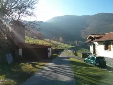 Atención a Personas con Discapacidad Intelectual y a sus familias en la Zona Rural