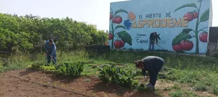 Huerto ecológico