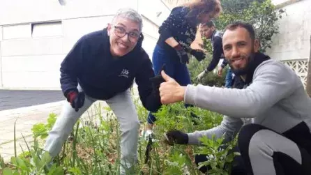Colaboración con Asociación Despierta