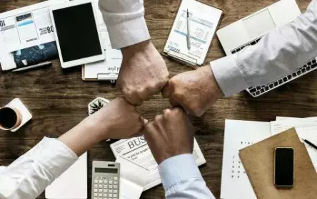 Sostenibilidad organizacional