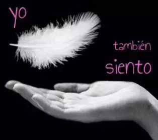 Programa de Educación Sexual para personas con discapacidad intelectual " Yo también siento"